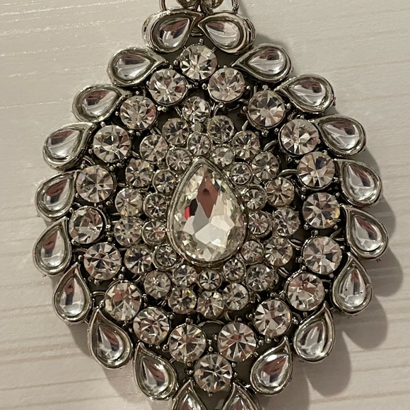 Tikka and earnings - Picture 3 of 5